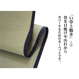 い草 上敷き/ラグマット 〔麻綿織 本間6畳 ...の詳細画像2