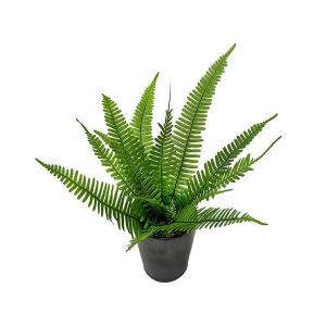 A＆K プリザーブドグリーン ミニシダ お手入れ不要の観葉植物 枯れない インテリア 癒し HP-004