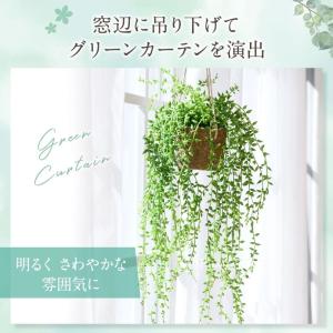 HANAYUKI フェイクグリーン グリーンネ...の詳細画像2
