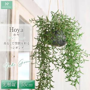 HANAYUKI フェイクグリーン ホヤ 吊り下げ ハンギング 55cm 光触媒加工 人工観葉植物 おしゃれ 開店祝い 開業祝い 引っ越し 店舗装飾