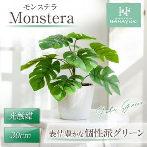 HANAYUKI フェイクグリーン モンステラ 卓上サイズ 30cm 光触媒加工 人工観葉植物 おしゃれ 引越 開店 開業 ギフト 店舗インテリア