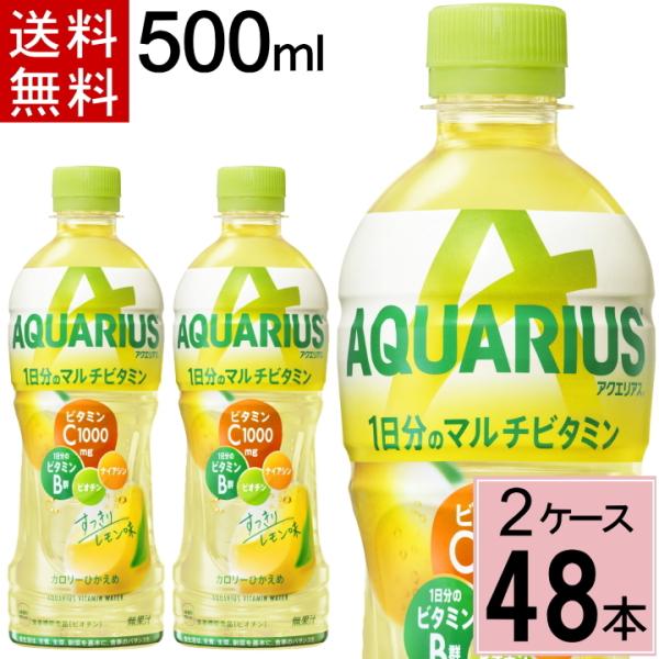 アクエリアス 1日分の マルチビタミン PET 500ml 送料無料 合計 48 本（24本×2ケー...