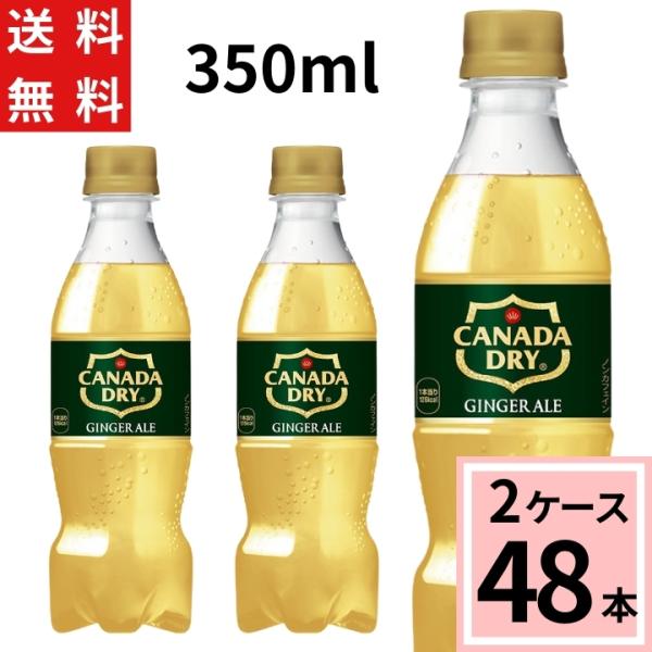 カナダドライ ジンジャーエール PET 350ml 送料無料 合計 48 本（24本×2ケース）ジン...