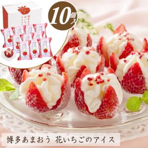 アイスクリーム アイス 博多あまおう 花いちごのアイス A-DS ギフト