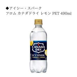 炭酸水 水 500ml よりどり 無糖炭酸 セ...の詳細画像2