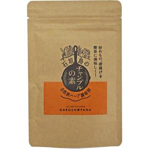 チャンプルの素袋入60g ガーデンパナ