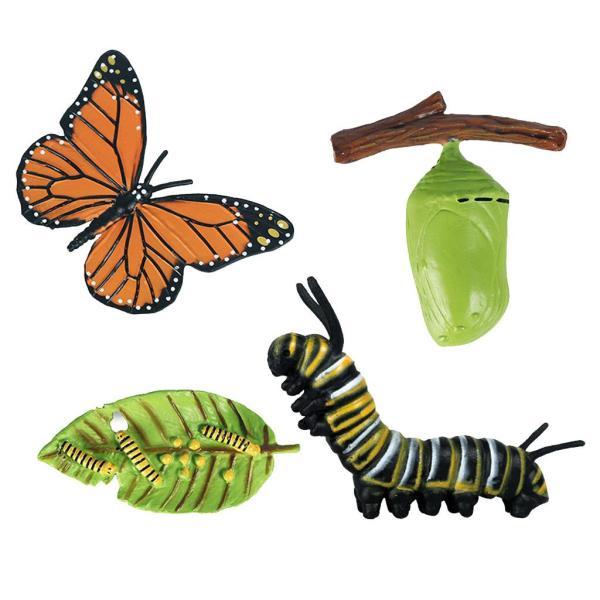 プラスチックキッズ昆虫蜂の成長ライフサイクルフィギュア教育学習玩具 , サイトE, 6x3x0.5c...