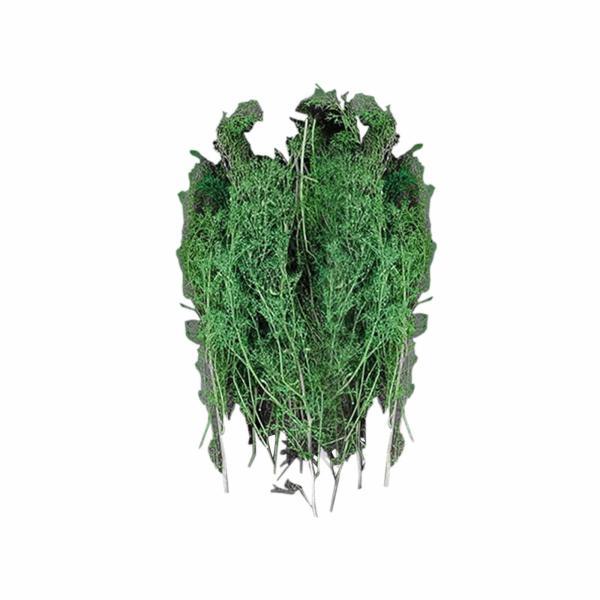 グリーン 風景素材 Model Trees アーキテクチャツリー モデル 1/48