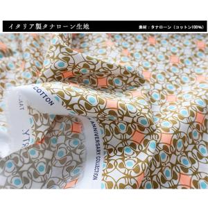 リバティプリント【タナローン/25SS Col...の詳細画像2