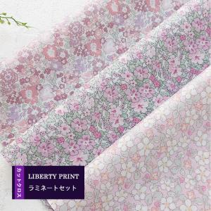 ラミネートSET  ＜ピンクピンク01＞ カットクロス