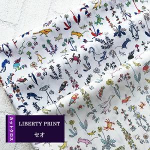 カットクロス　　＜セオ  Theo＞  ポプリン  おためし  はぎれ   3種類セット　約30×50cm　リバティプリント