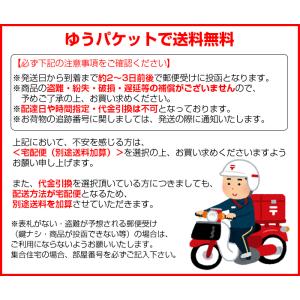 ボールペン型 電気ショック ショックペン パー...の詳細画像3