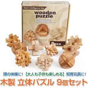 木製 立体 パズル 知育玩具 組立 積み木 カラクリ