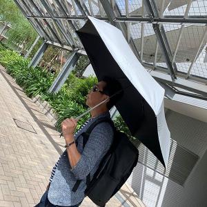 傘 新仕様 ウォーターフロント 大判 親骨60...の詳細画像2