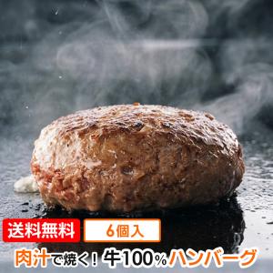 ハンバーグ 牛100% 130g×6個入 冷凍 ギフトにも｜chicken-nakata