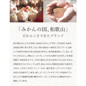 ローストチキン 1本200g 骨付き鶏肉 チキ...の詳細画像5