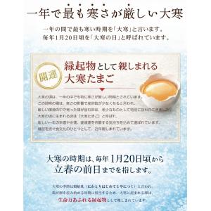大寒 たまご 30玉 (破損保証5玉含む) 卵...の詳細画像1