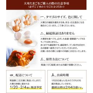 大寒 たまご 30玉 (破損保証5玉含む) 卵...の詳細画像3