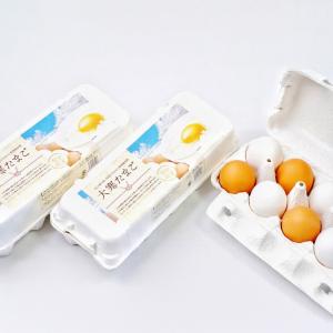 大寒 たまご 30玉 (破損保証5玉含む) 卵...の詳細画像4