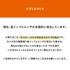 大寒 たまご 30玉 (破損保証5玉含む) 卵...の詳細画像5