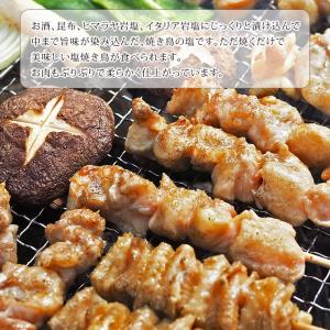 【 送料無料 】 焼き鳥 国産 バイキング 塩...の詳細画像5