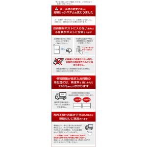 自由研究 野菜 種 スプラウト 夏休み 小学生...の詳細画像2
