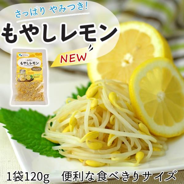 もやしレモン 子大豆もやし 調理不要の常備菜 つくおき おつまみ バーベキュー 焼肉