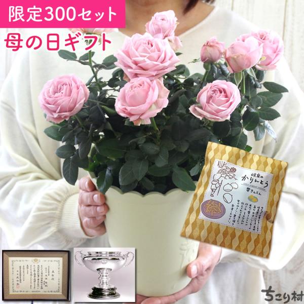 母の日 2026 花 プレゼント ミニバラ 薔薇 鉢植え 花とスイーツ  ギフト スイーツ 送料無料...