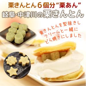 栗きんとん 送料無料 国産 栗 100%使用 ...の詳細画像1