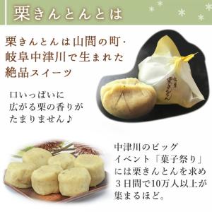 栗きんとん 送料無料 国産 栗 100%使用 ...の詳細画像3