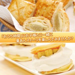 栗きんとん 送料無料 国産 栗 100%使用 ...の詳細画像5