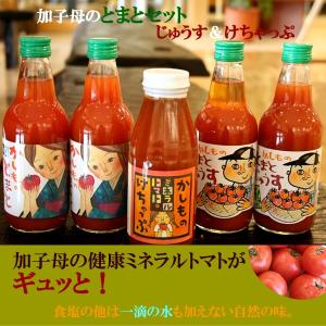 加子母のトマトセット ジュース＆ケチャップ【合計５本入り】送料無料 【贈答ギフト箱入り】  【新鮮野菜生活のサラダコスモ】｜chicory