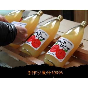 内祝 ギフト ジュース りんごジュース ストレ...の詳細画像3