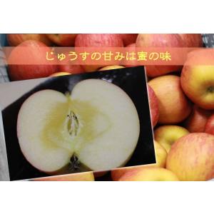 内祝 ギフト ジュース りんごジュース ストレ...の詳細画像4