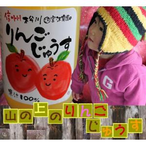 内祝 ジュース りんごジュース ギフト 長野 ...の詳細画像4