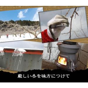 内祝 ジュース りんごジュース ギフト 長野 ...の詳細画像5
