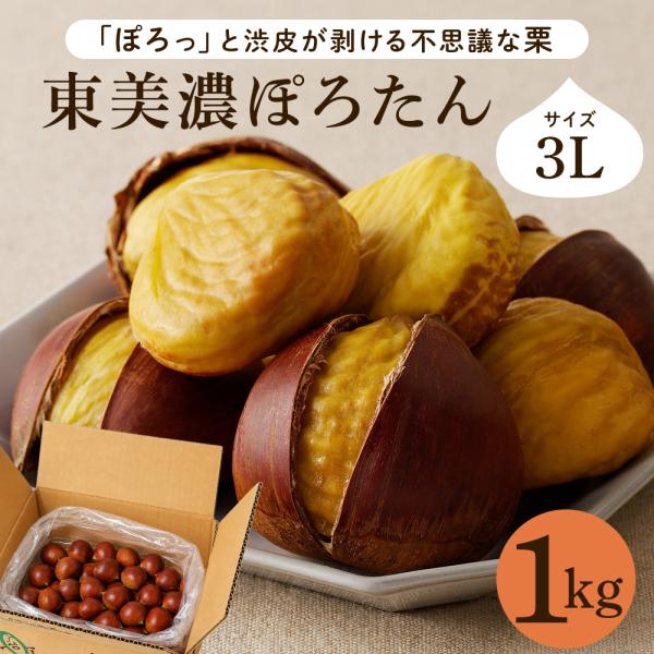栗 生栗 東美濃ぽろたん 岐阜県産 1kg 国産 和栗 渋皮 栗ご飯 焼き栗 甘栗風 秋の味覚 旬 ...