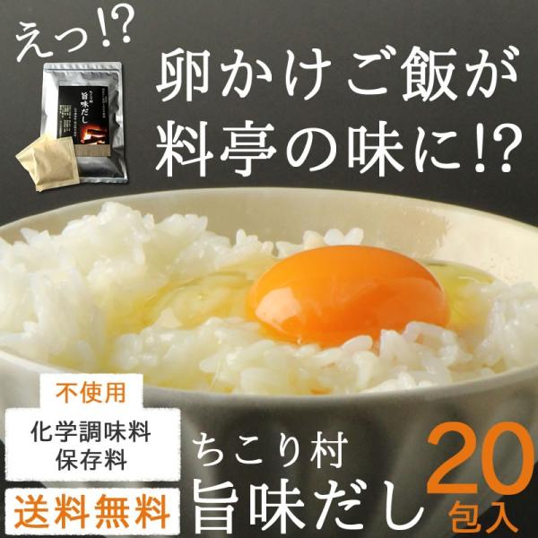 だしパック 国産 化学調味料・保存料不使用 旨味だし 20包 送料無料 ちこり村 お試し商品 サンプ...