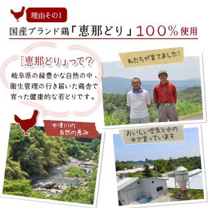 サラダチキン 国産鶏 ほぐし 恵那どり 観光地...の詳細画像4