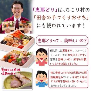 サラダチキン 国産鶏 ほぐし 恵那どり 観光地...の詳細画像5