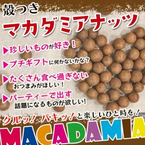 マカダミアナッツ 殻付き 無塩 ロースト 60...の詳細画像1