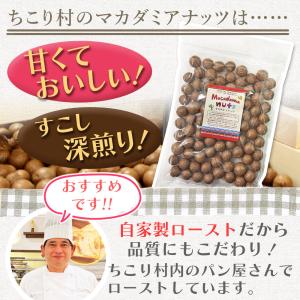 マカダミアナッツ 殻付き 無塩 ロースト 60...の詳細画像4