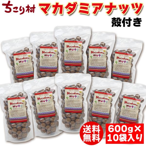 マカダミアナッツ 殻付き 無塩 ロースト 600g×10袋 まとめ買い