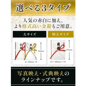 目録 目録封筒 大サイズ 大きめ 用紙 特大サ...の詳細画像3