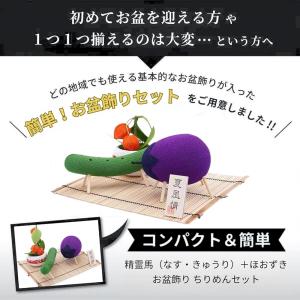 お盆飾り セット (かんたんセット) なす き...の詳細画像1
