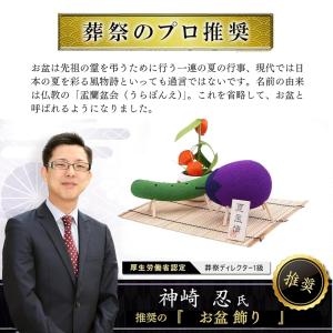 お盆飾り セット (かんたんセット) なす き...の詳細画像4