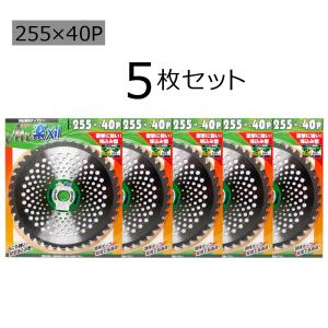 お試しセット Lサイズ50枚入 調整プレート レベルスペーサー 5サイズ