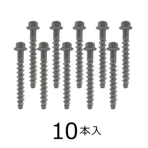 アスファルト用アンカー（HEX）【4個】アスファルトアンカー HEX