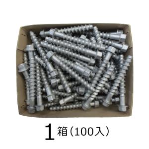 アスファルト用アンカー（HEX） 8X70X55 SUS410 生地 【4本