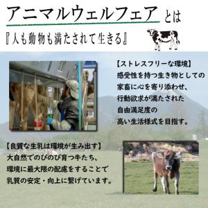 牧場直送 長門牧場 ドリンクヨーグルト 500mlの詳細画像3